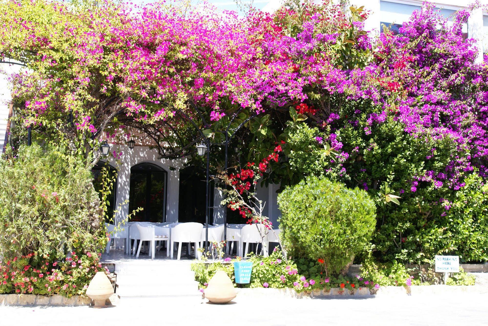 Skala Hotel Exterior foto